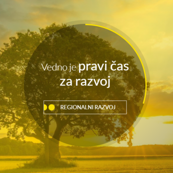 Javni razpis za delovno mesto direktorja javnega zavoda Razvojni center Murska Sobota