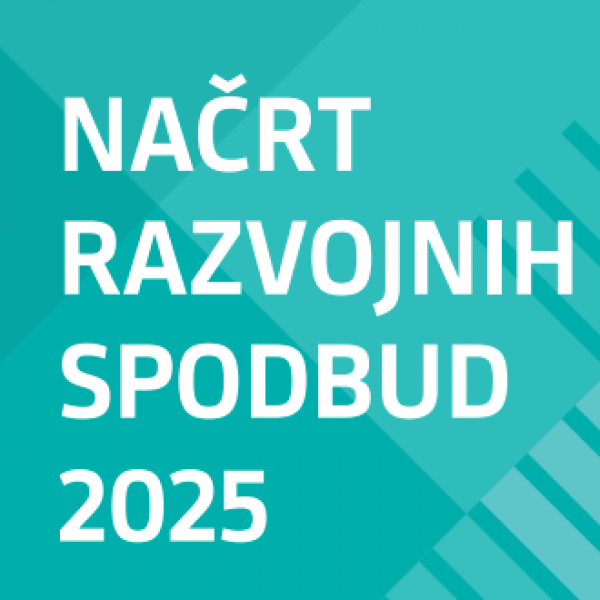 NAČRT RAZVOJNIH SPODBUD 2025