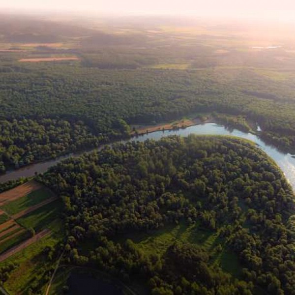Natura Mura - Najobsežnejši projekt za obnovitev mokrotnih habitatov ob Muri
