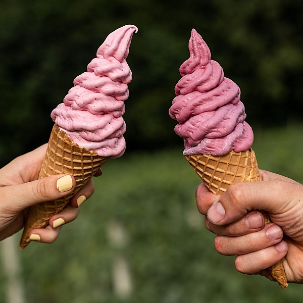 Doživi novozelandski stil sladoleda iz pravega sadja